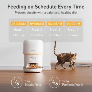 Guía de Compra: Los Mejores Comederos Automáticos para Gatos 7 71M Qj2qO2L. AC SL1500