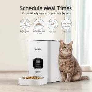 Guía de Compra: Los Mejores Comederos Automáticos para Gatos 12 71rMaDJB80L. AC SL1500 1