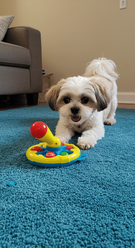 Juegos para Perros Aburridos: ¡Mantén a tu Compañero Estimulado y Feliz en Casa! 3 Perro activo participando en juegos de estimulación mental en un entorno doméstico, con la palabra clave "juegos para perros aburridos" visualmente o implícitamente representada.